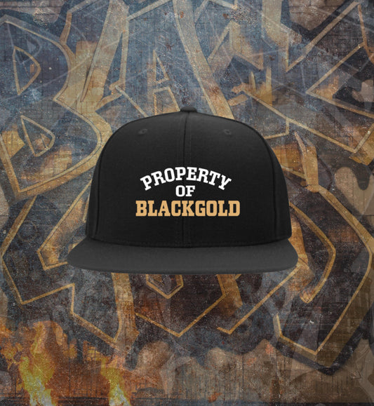 PROPERTY OF SNAPBACK